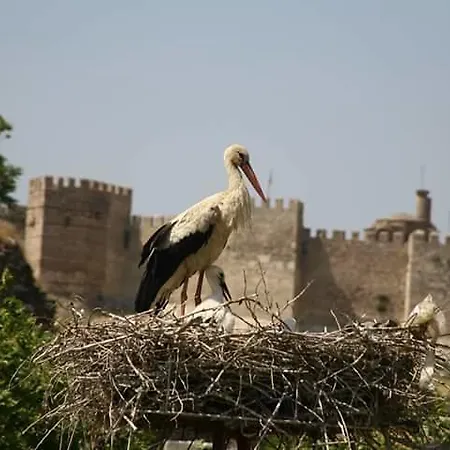 Rilican Best - View Hotel Hotel 3*