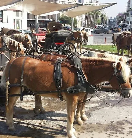 Rilican Best - View Hotel Hotel Selçuk