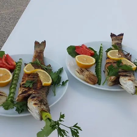 Rilican Best - View Hotel Szálloda 3*