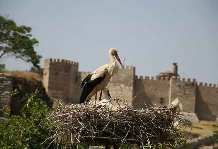 Rilican Best - View Hotel فندق 3*