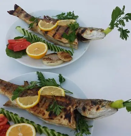 Hotel Rilican Best - View Hotel 3*