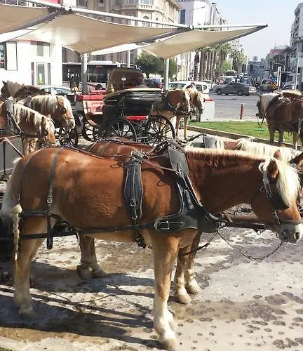 睿里坎最佳景酒店 酒店 塞尔丘克