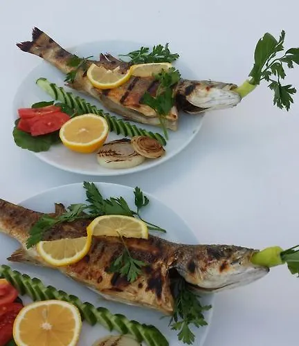 酒店 睿里坎最佳景酒店 3*