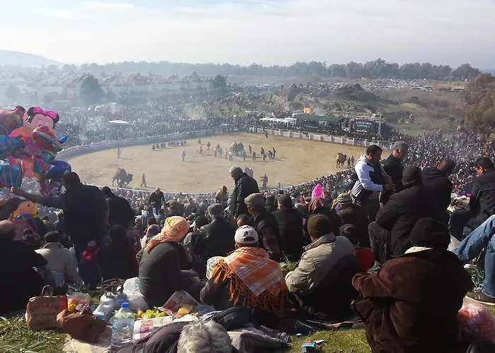 酒店 睿里坎最佳景酒店 塞尔丘克